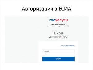 Как авторизоваться в ЕСИА через Госуслуги?