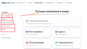 Как заполнить публичный профиль на Яндексе специалисту?