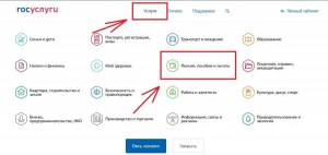 Можно ли на Госуслугах узнать, а оформлен ли я на работу официально?