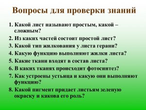 Какие страницы называют "твинами"?