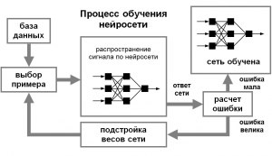 Может ли нейронная сеть обучаться без учителя?