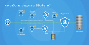 Какие защиты от Ddos атак вы знаете?