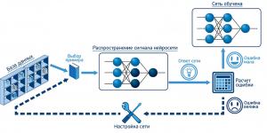 Какая архитектура нейронной сети была использована для победы AlphaGo?