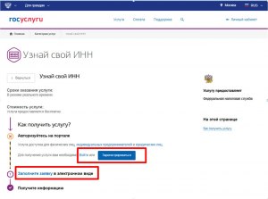 Кто вводит ИНН на Госуслугах, есть ли мой ИНН на Госуслугах?