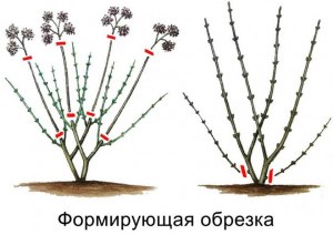 Как формировать блэклисты в тизерках?