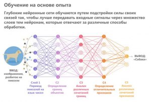 Какие компьютерные нейросети можно использовать в библиотеке?