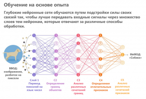 Почему глубокие нейросети называются глубокими?