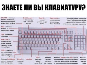 Какие есть хорошие клавиатуры для компьютера на февраль 2023 г.?