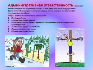 Когда введут административную ответственность за копирайтинг?