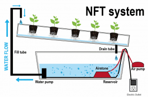 Для чего нужны NFT?