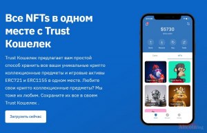 Как увидеть NFT на кошельке Trust Wallet?