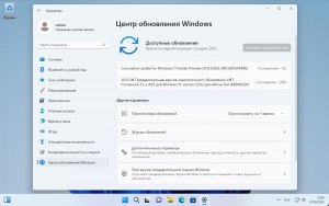 "Windows 10 и 11" доступны для загрузок и скачивания в России, это хорошо?