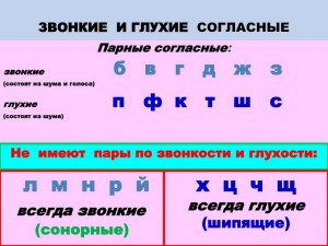 Новогодняя сказка В каком ингредиенте все согласные глухие?