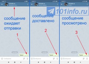 Что обозначает сокращение: "ТГК" в Телеграм (Telegram), и почему пишут ТГК?