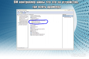 Что такое SM контроллер шины? Для чего он нужен?
