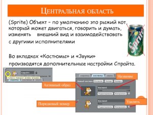 Сколько костюмов может иметь спрайт в программной среде scratch?