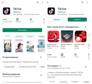 TikTok Pulse. Что это? Для чего? Какие условия программы?