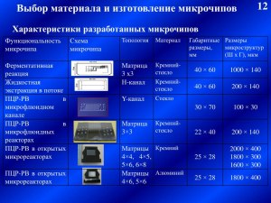 Через сколько лет в РФ могут начать производство микрочипов?