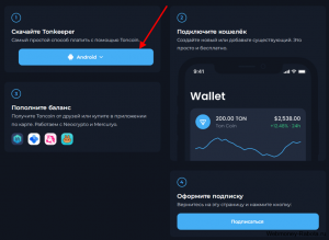 Как оплатить подписку Ton Place? Где взять 2 TON?