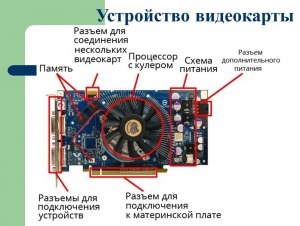 Что обозначает подпись RU в видеокарте?