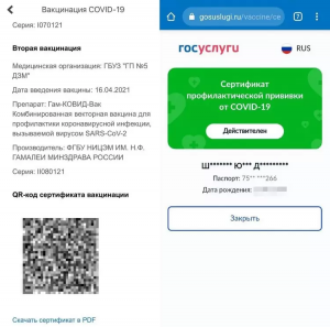 Что за новая мошенническая схема с QR-кодами на «Госуслугах»?