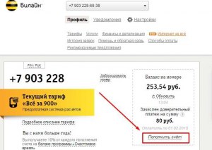 Произведена оплата на ошибочный счет билайн интернет?