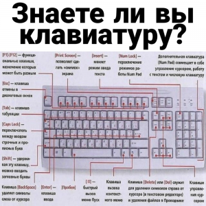 Какая клавиатура шумит на низких тонах?