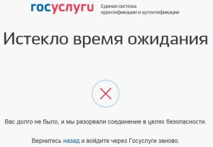 Что значит сетевая ошибка в госуслугах время ожидания ответа истекло?