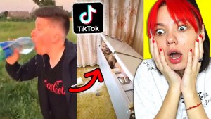 Почему Tik-Tok перенасыщен глупостью и бессмыслицей?