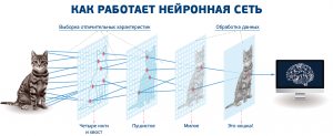 Для каких истинных целей используется нейросеть BaiRBIE me?