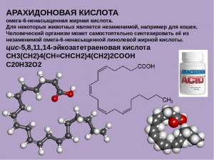 Арахидоновая кислота - какая польза или вред, где встречается?