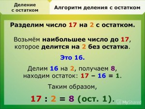 Что правильнее, когда 1 делится без остатка на 2 или на 3?