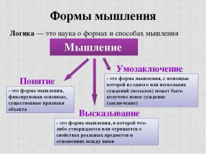 Почему мышление людей делится на гуманитарное или математическое?