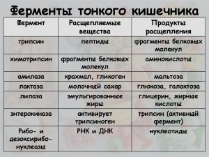 Существуют ли ферменты преобразующие ацетон в нетоксичные продукты? Почему?