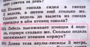 Лебедь высиживает птенцов четыре недели, коршун столько же. Как решить?