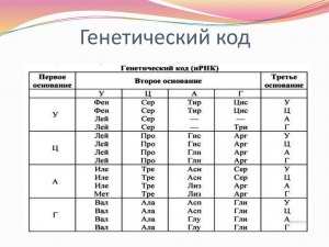 Как посмотреть на скан своего ДНК и узнать, какая там заложена информация?