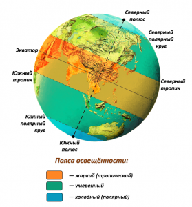 Почему возле экватора почва более рыхлая, чем на полюсах?