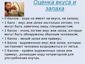 Возможно ли оцифровать запах и вкус?