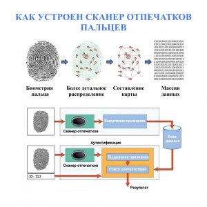 Будет ли эффективным контролем над оружием датчик отпечатка пальца?