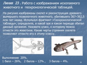 Для чего генетики работают над воссозданием вымерших древних животных?