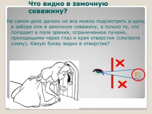 Проползёт ли паучок через замочную скважину и за какое время?