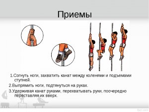 Какие силы удерживают канатоходца в вертикальном положении на канате?