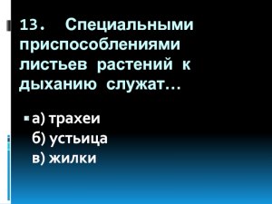 Что служит специальными приспособлениями листьев растений к дыханию?