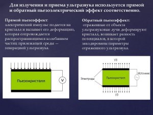 Чем заинтересовала учёных деревня Калачи в Казахстане?