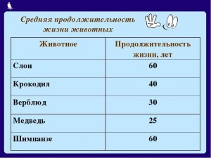 Какова продолжительность жизни биоробота ксенобота?