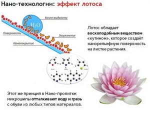 Как эффект лотоса подтолкнул к изобретению водоотталкивающих материалов?