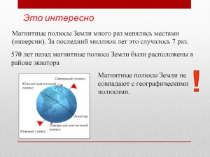 Каким образом птицы определяют магнитный полюс земли?