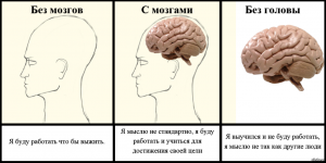 Какие условия могли бы заставить мозг человека увеличиться?