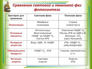 Что из себя представляет темновой разряд?