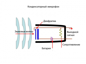 Как работает конденсаторный микрофон?